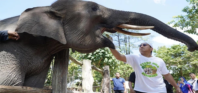 Save Tesso Nilo Viral Kepala TNTN Terima Kasih Lembar Ilmu