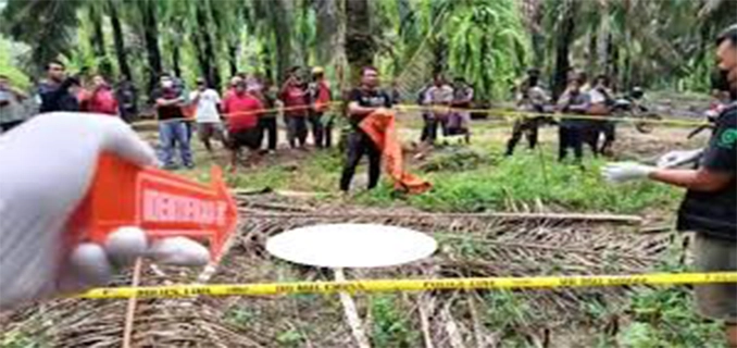 Misteri Hilang Siswa SMK Lampung Berakhir Tragis di Kebun Sawit